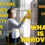 What is Norovirus